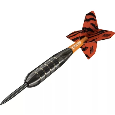 Darts szett TARGET steel Raymond van Barneveld 22g, brass 2023